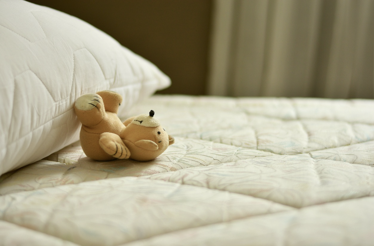 빈대를 퇴치하고 예방하는 가장좋은방법과 물린자국 구별방법