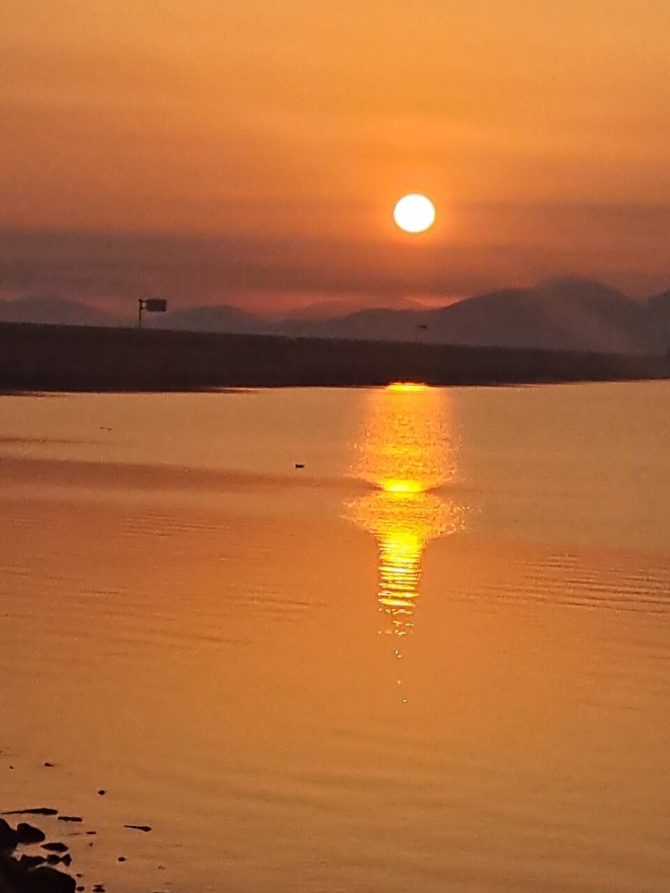 6시내고향 충남 서산 간월도 해물 손칼국수 맛집 간월도손칼국수