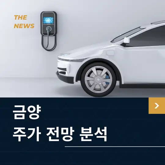 금양 주가 전망 및 분석