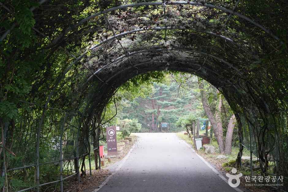 국립운문산자연휴양림