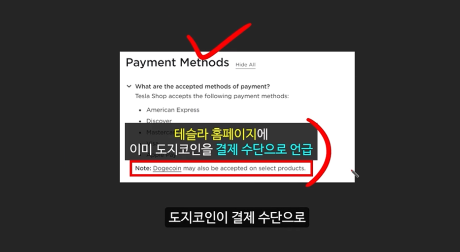 일론 머스크의 충격 발언과 도지코인, 플로키코인, 위프코인, 피넛코인, 프레드 코인의 강력한 상승 가능성 분석