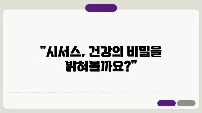 시서스의 영양 성분 이해하기