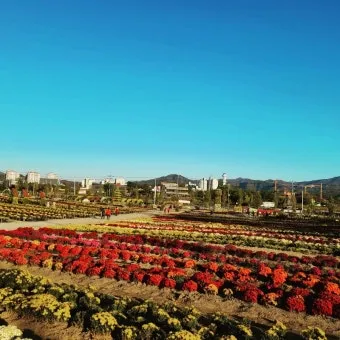 연천 가볼만한곳 베스트10 추천 명소_14