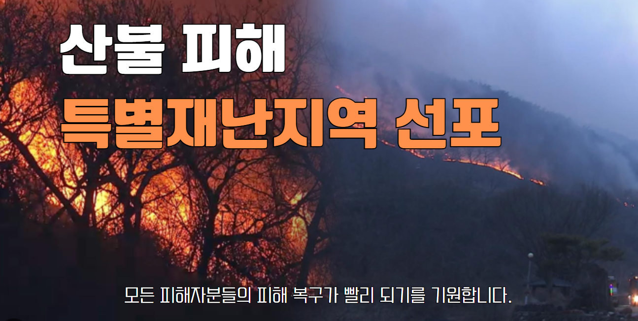 산불이 난 이미지, 산불 피해 특별재난지역 선포 문구 삽입