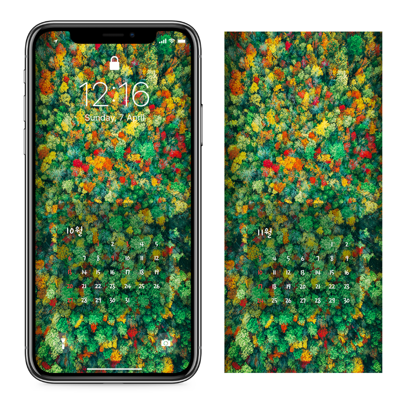 02 단풍숲 AB - 2024년10월 아이폰달력배경화면
