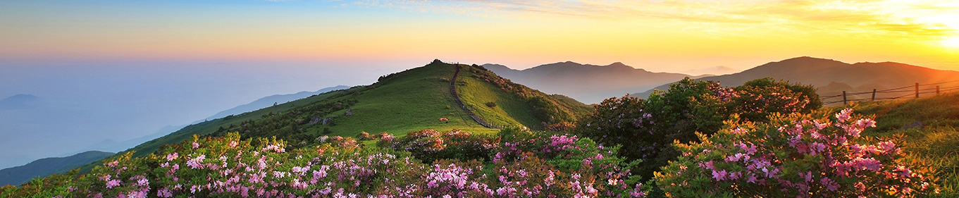 소백산 생태탐방원