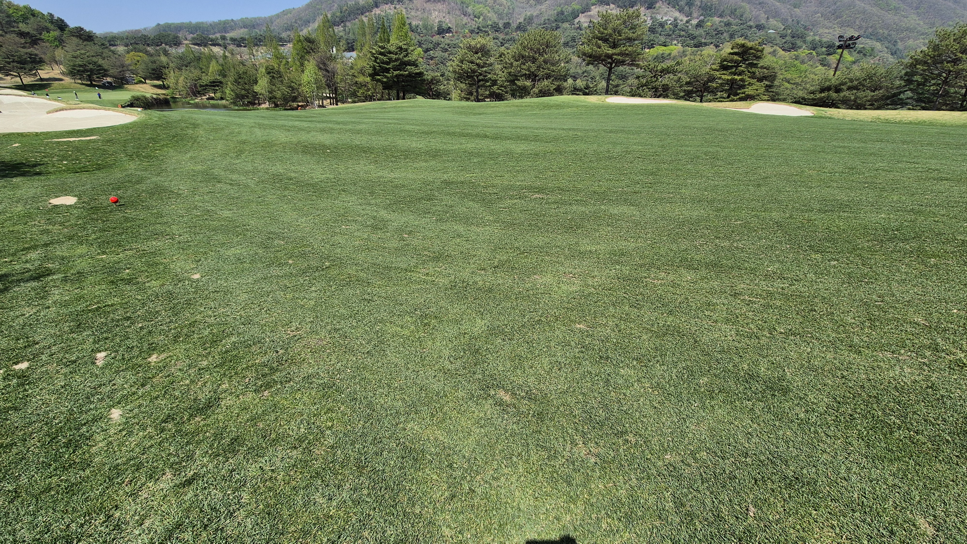 소노펠리체cc 비발디파크 웨스트