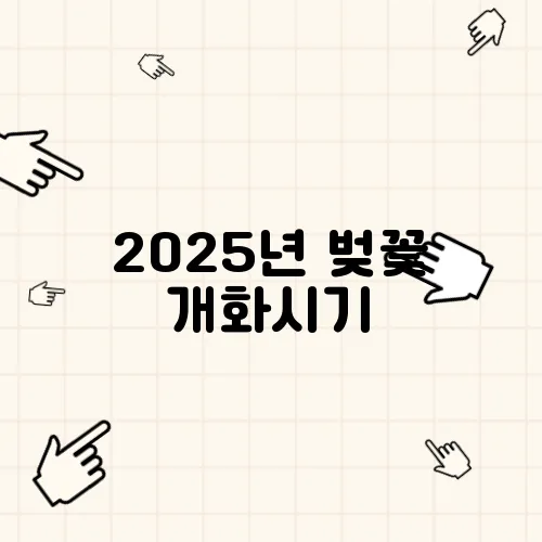 2025년 벚꽃 개화시기, 및 축제 여행정보