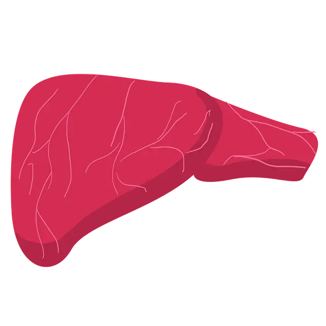 밀크시슬 효과 복용 시간 부작용