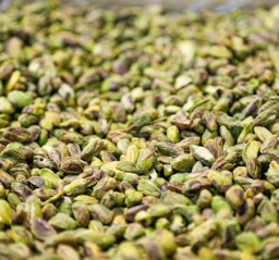 비타민E가 많은 음식