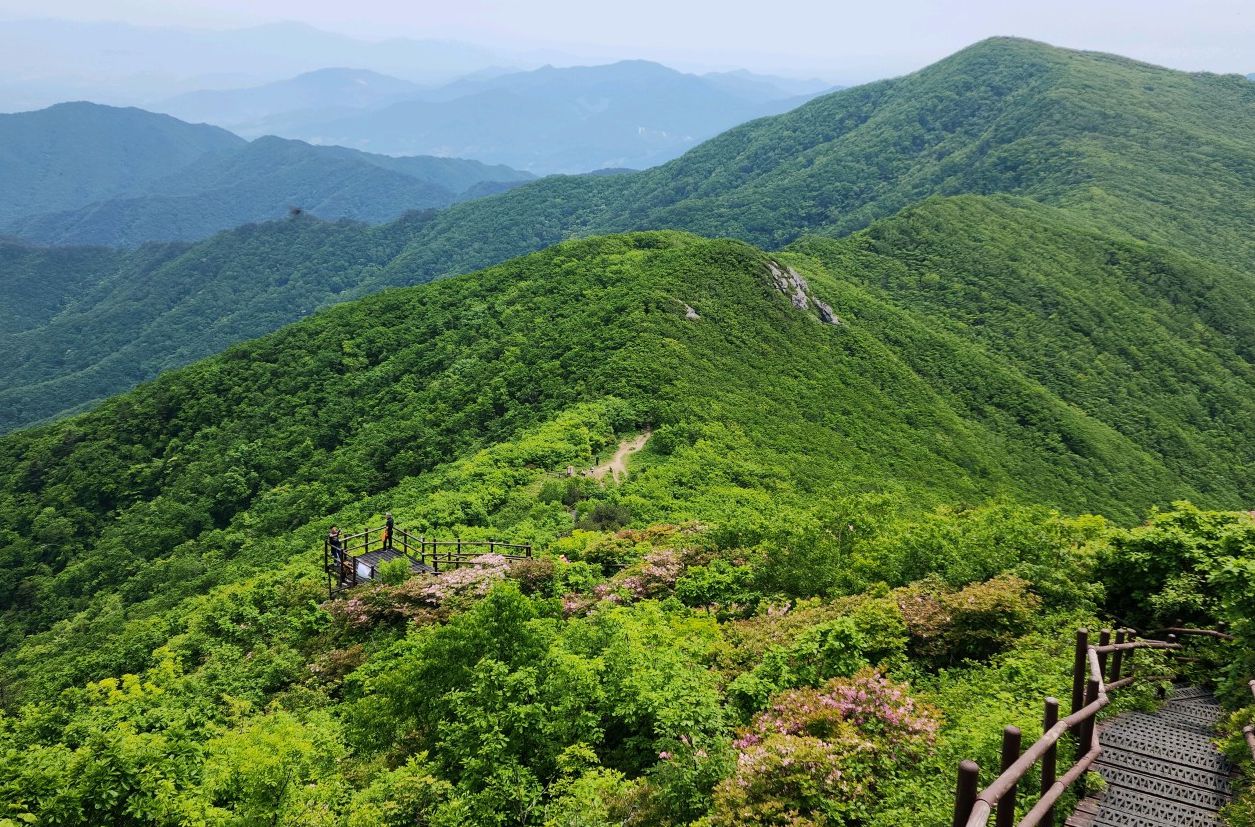 만천하스카이워크 &amp; 소백산