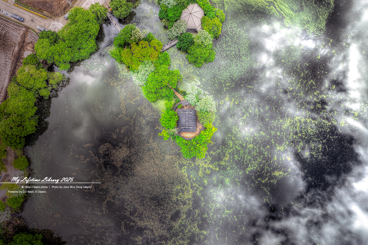 #밀양 #저수지 #위양지 #이팝