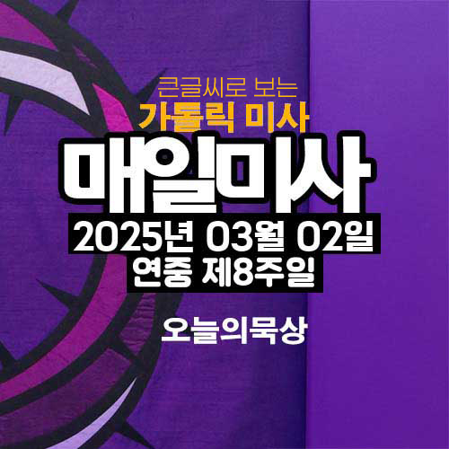 2025년 3월 2일 매일미사 연중 제8주일 오늘의 묵상