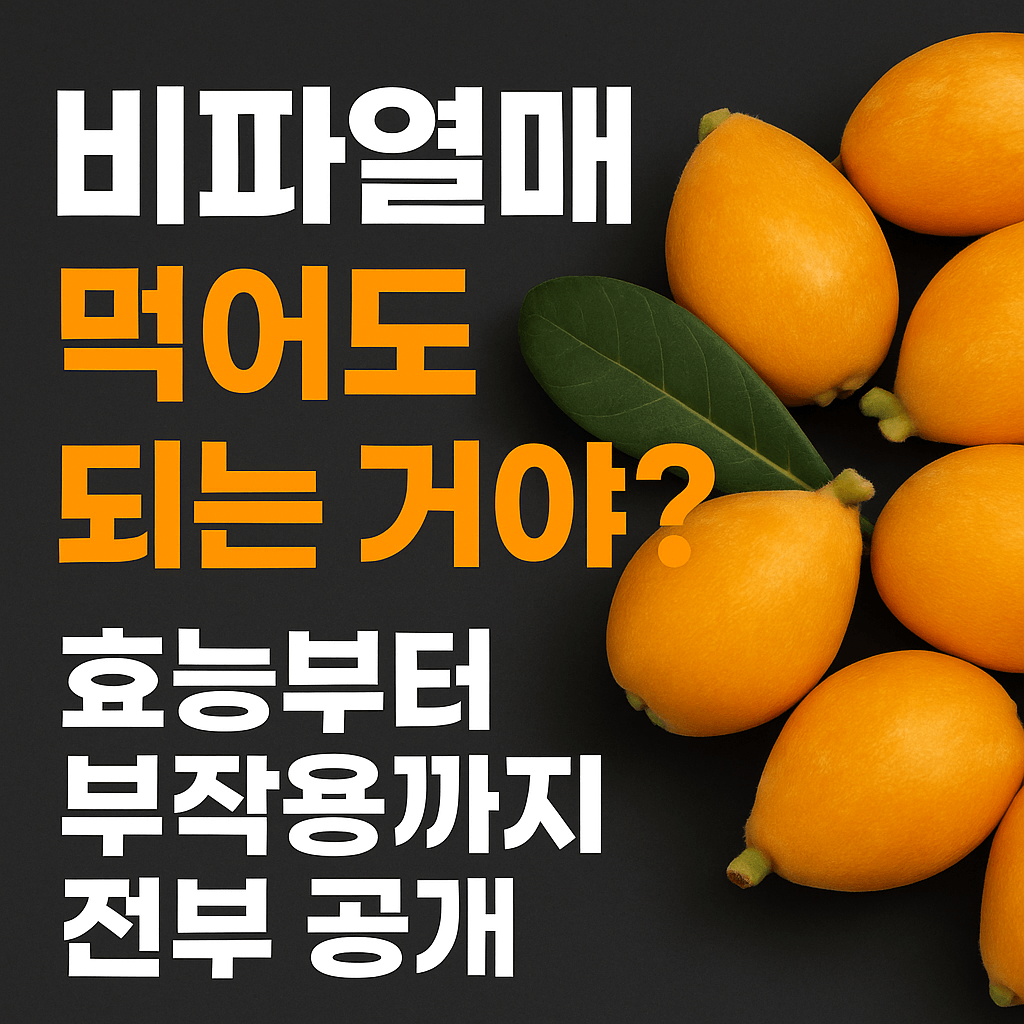 🍑 비파열매, 진짜 먹어도 될까? 효능·부작용·먹는 법 총정리