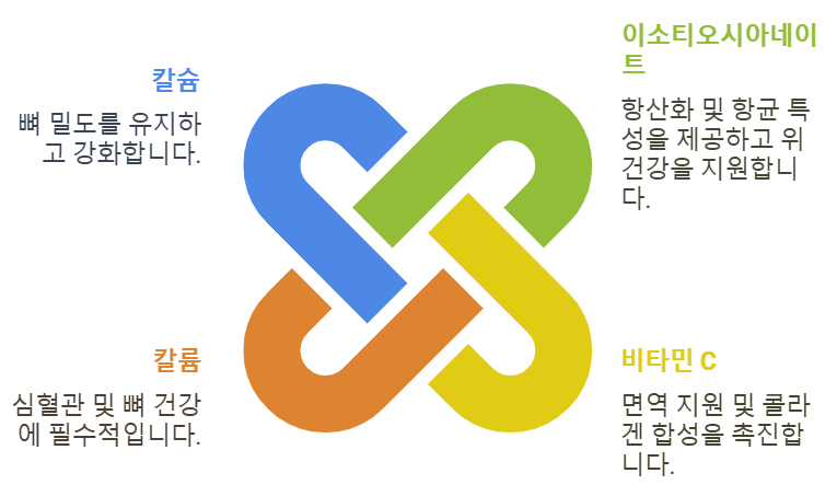 와사비 영양
