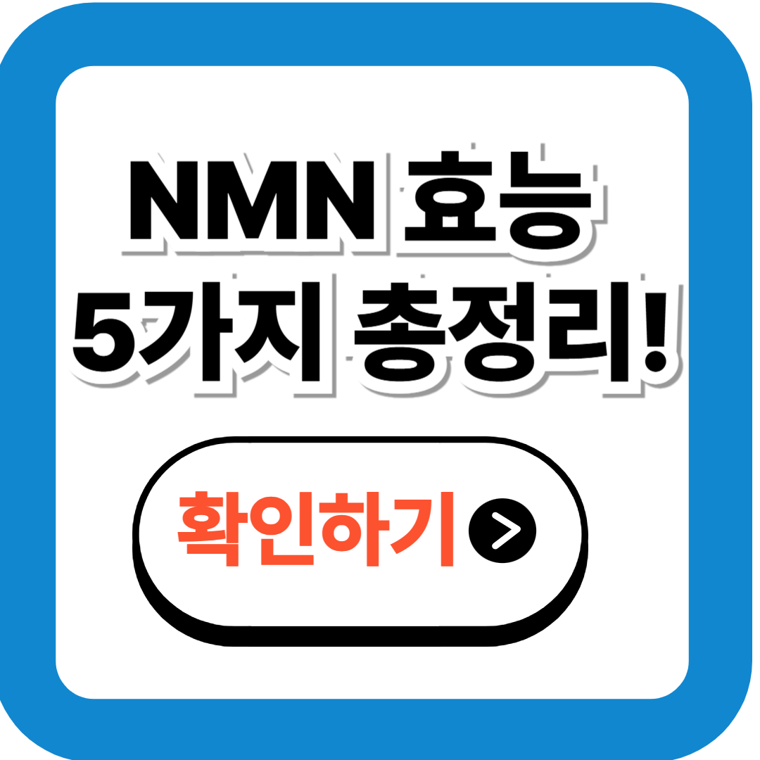 NMN 효능 5가지 총정리, 40대 이후 꼭 챙겨야 할 항노화 영양제