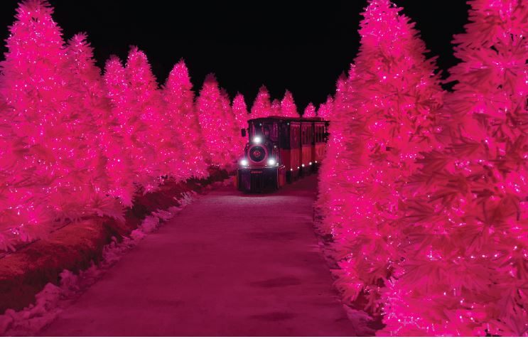 포천 허브아일랜드 불빛동화축제 여행 정보 (2024)