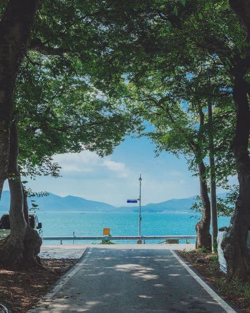 그늘의 경제학: 도심 속 그늘이 주는 미세 기후 변화