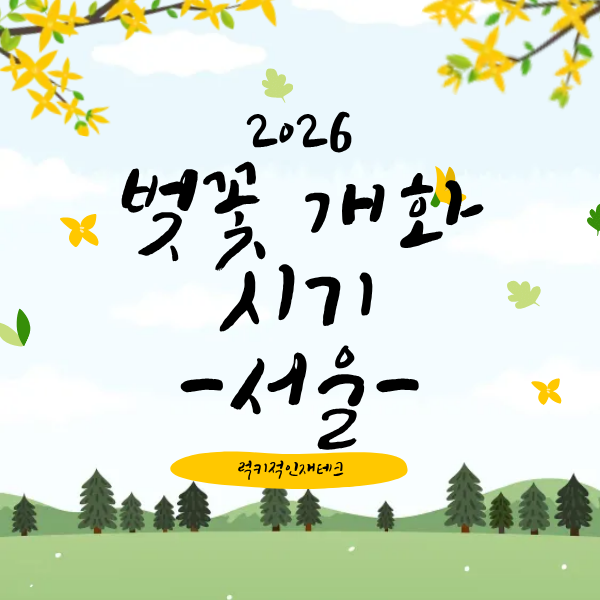 서울 벚꽃 개화 시기