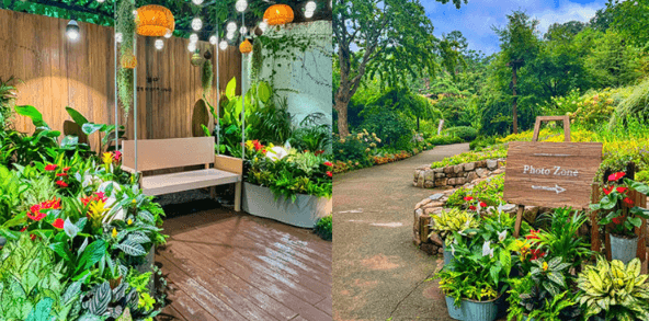 단풍여행 단풍트레킹 당일버스 여행