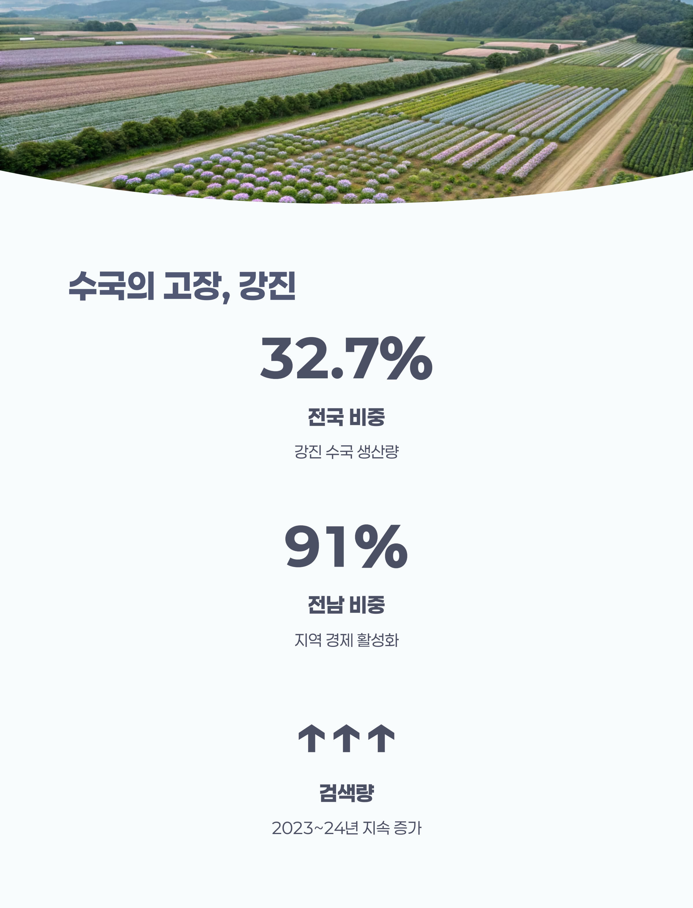 수국 생산 규모