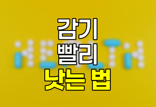 감기 빨리 낫는 법, 종류별 완화 방법 및 음식 관련 정보