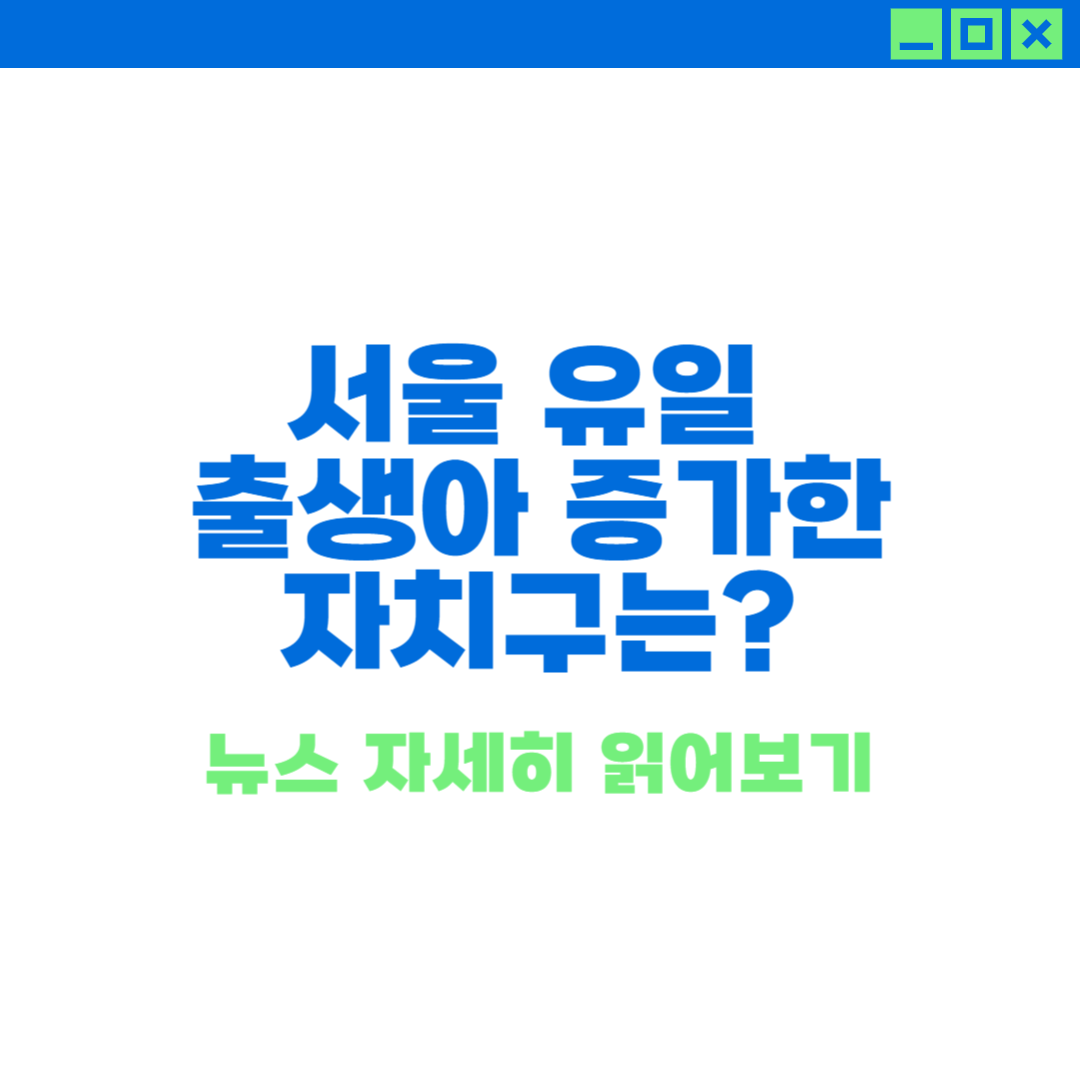 강남구 출생아 증가