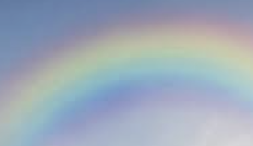 ISTP 유형 특징 분석