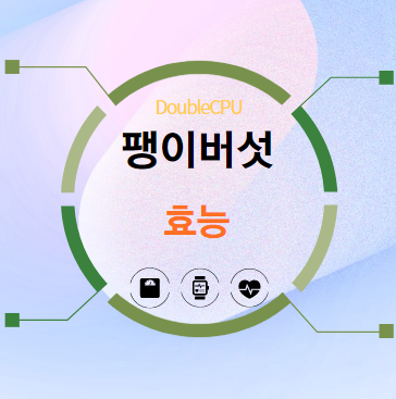 팽이버섯 효능 탐구