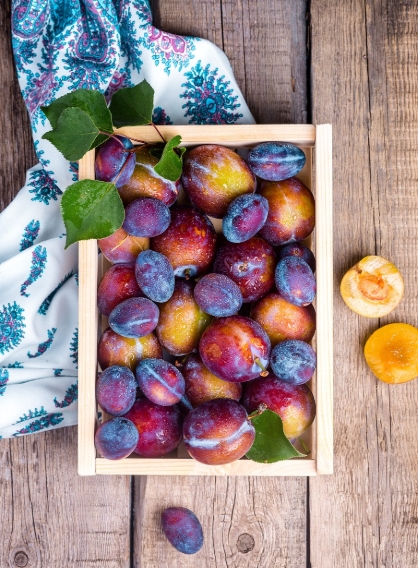 에너지바우처 지원대상 신청방법 총정리 / 꿀팁까지