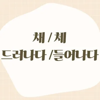 드러내다 들어내다 맞춤법 표현 예문_24