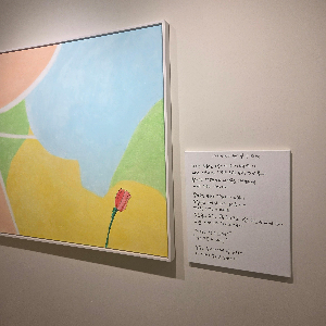 노트를 바꿨을 뿐인데 필사가 더 좋아졌다.