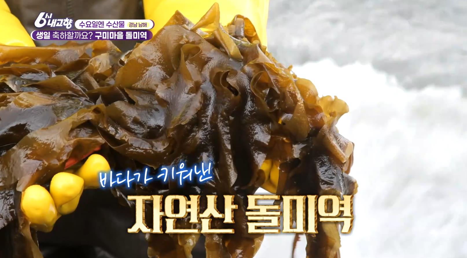 바다가 키워낸 6시내고향 구미마을 돌미역