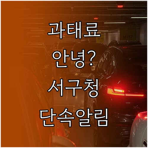 대전 서구청 주정차단속알림 문자 서비..