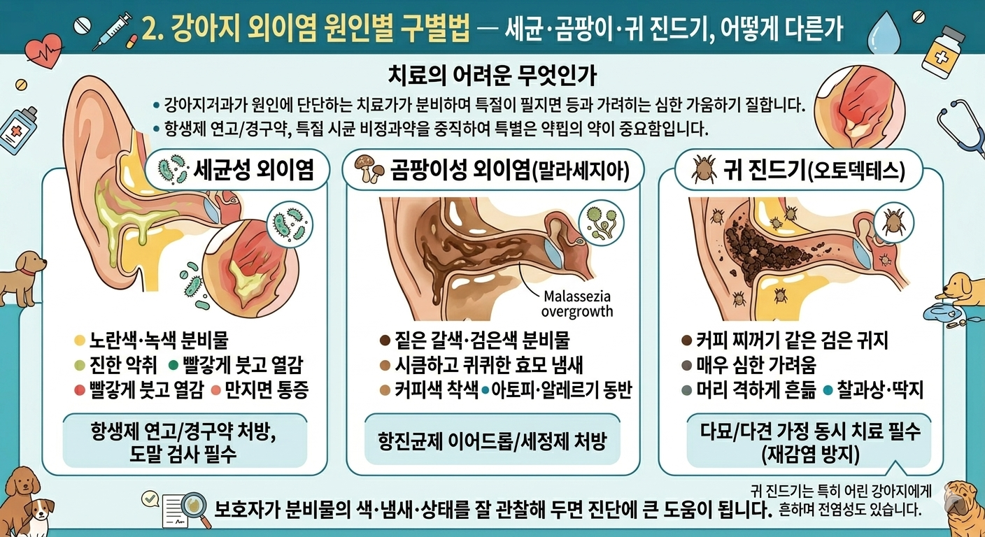 강아지 외이염 원인별 구분별