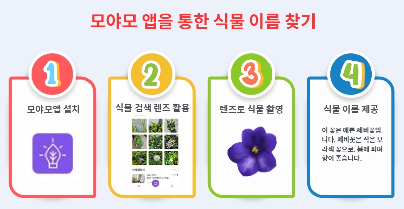 모야모 앱을 통한 식물 이름 찾기