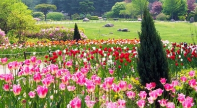 경기도가볼만한곳이미지