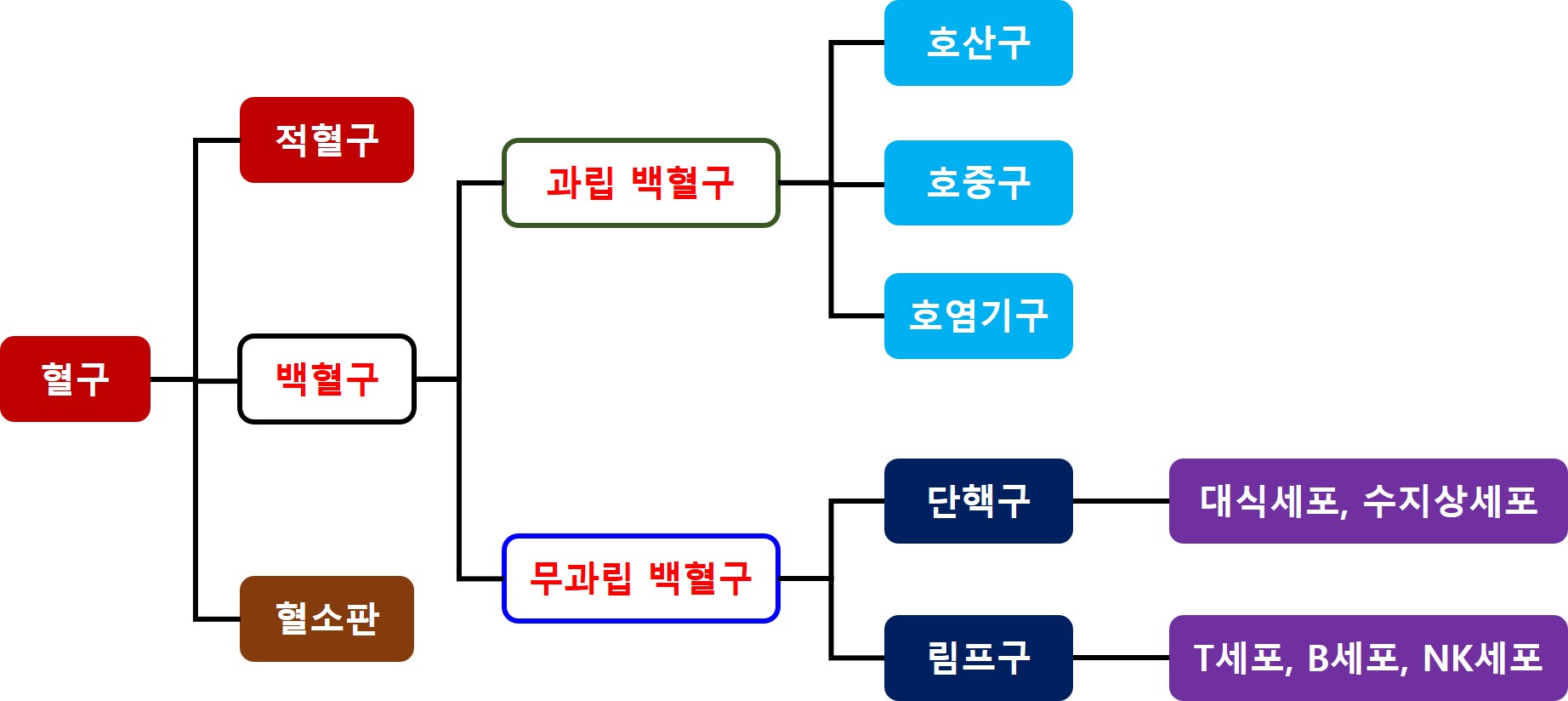 면역