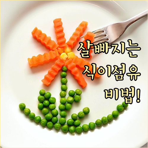 효과적인 체중 감량을 위한 식이섬유 ..