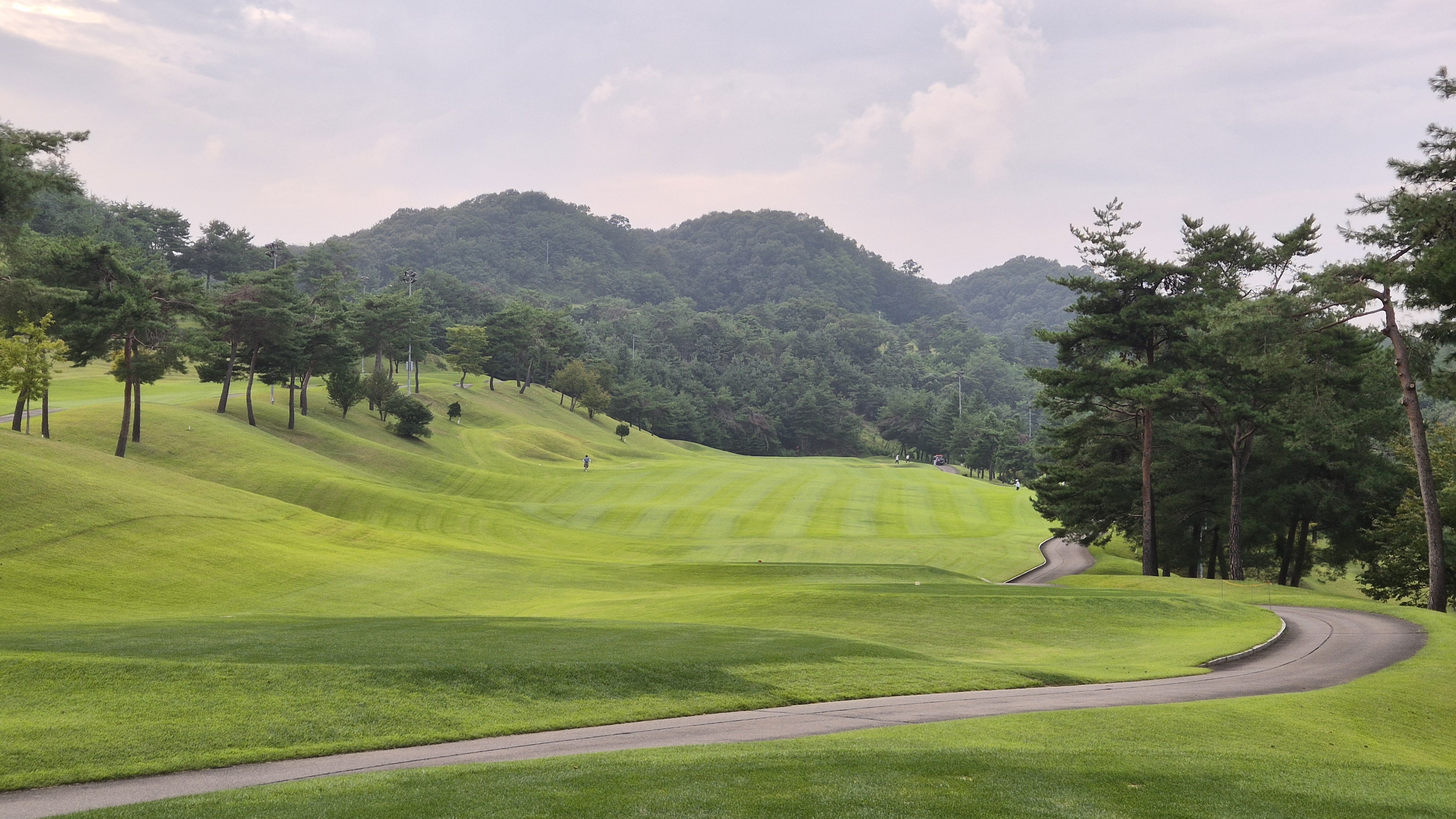 동원썬밸리cc 코스 사진 및 공략 정보