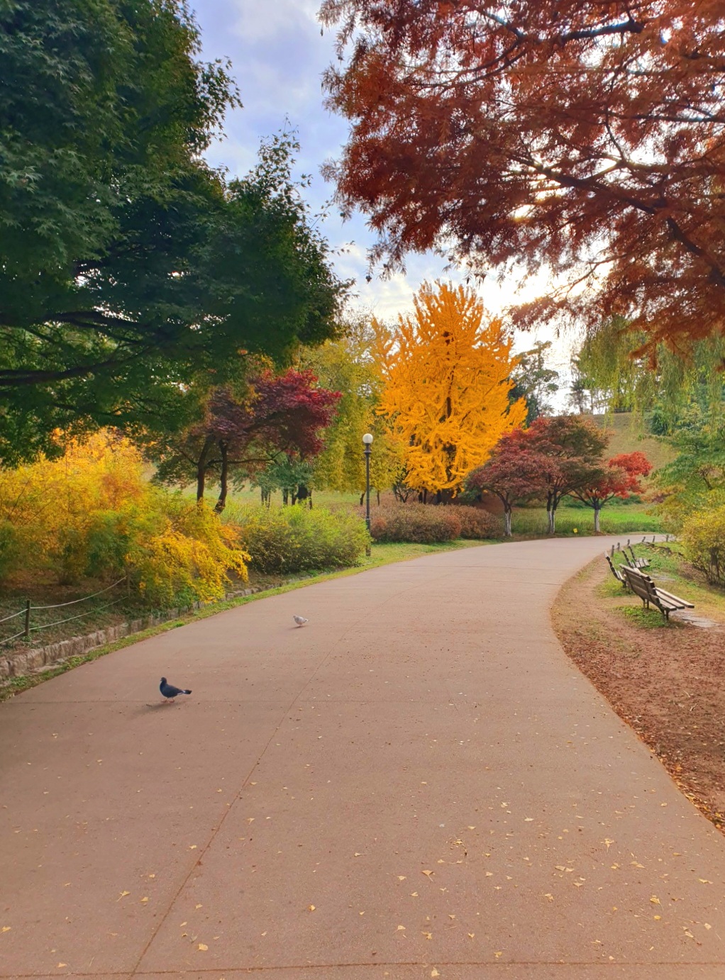 공원에-가을을-즐기는-사람들이-많이-왔어요.