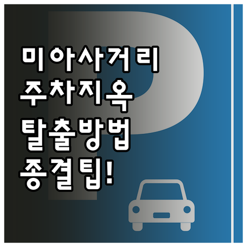 미아사거리역 주차 스트레스 해결 상황..