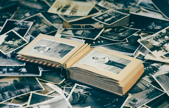 디지털 사진 백업