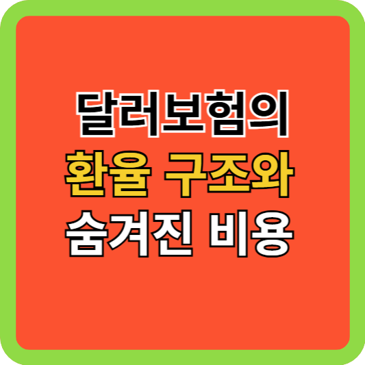 달러보험의 환율 구조와 숨겨진 비용