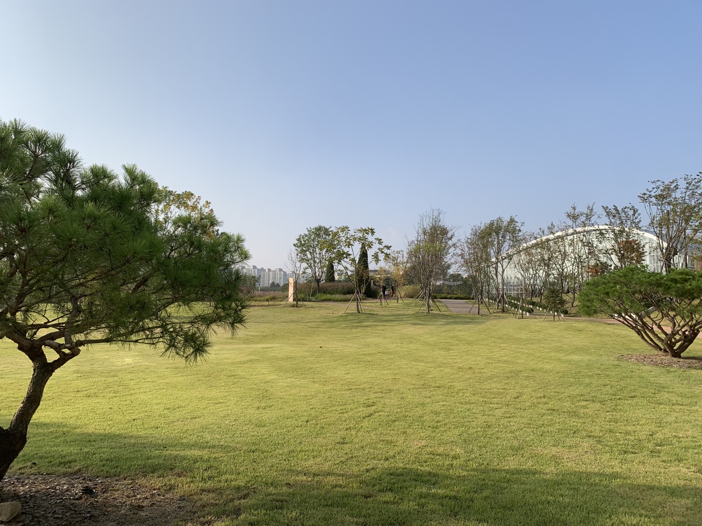 수원 일월 수목원 잔디광장