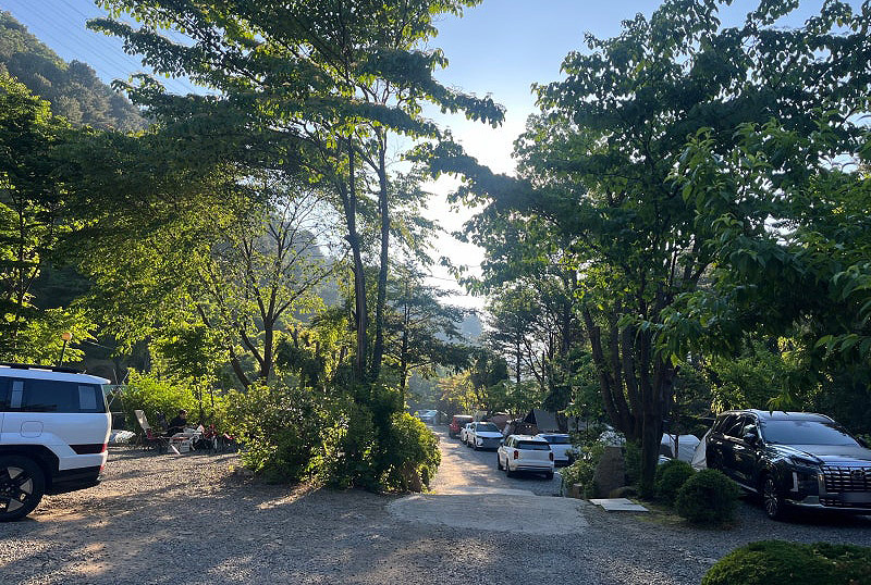 포천 포시즌스 오토캠핑장 소개