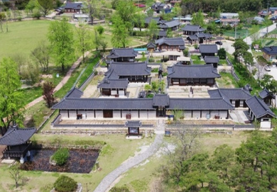 '100억송이' 가을꽃