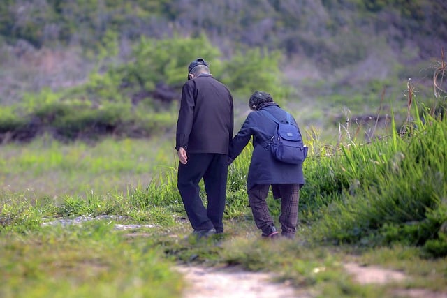 60세 이상 노인