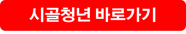 해남절임배추 20kg 구매방법