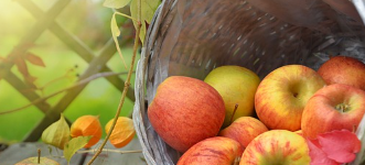 겨울철 난방 적정온도